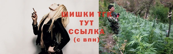 гашик Алексеевка