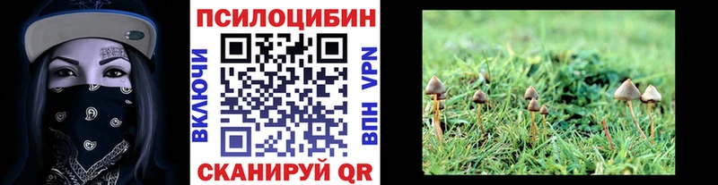 Псилоцибиновые грибы GOLDEN TEACHER  Нея 